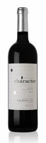Wine & Soul Pintas Character Douro Red 2017 Portugal Douro Rotwein