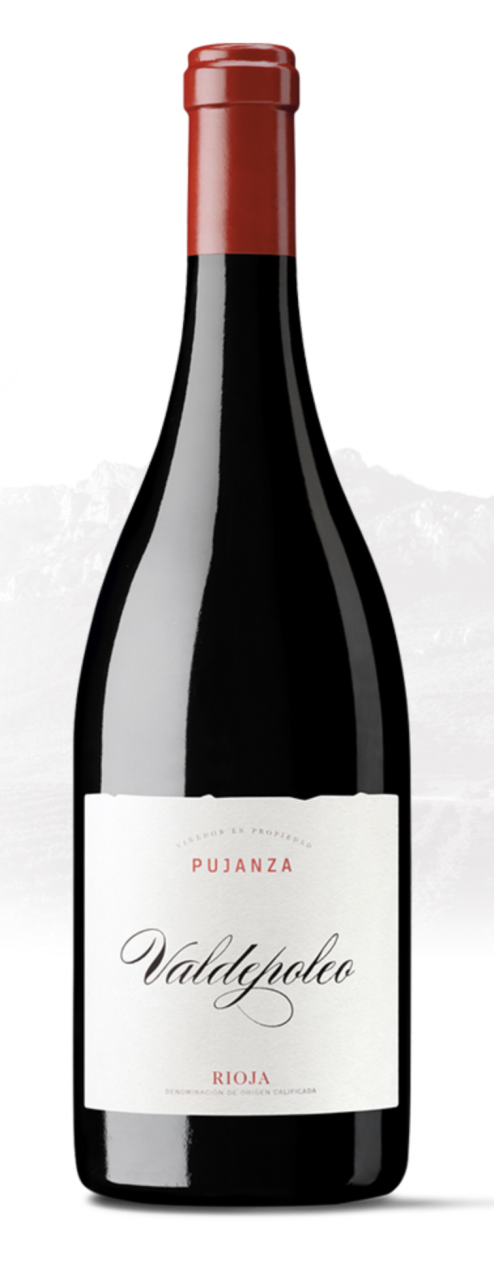 Bodegas y Vinedos Pujanza, Pujanza Rioja Valdepoleo 2019, Rioja, Spanien, Rotwein