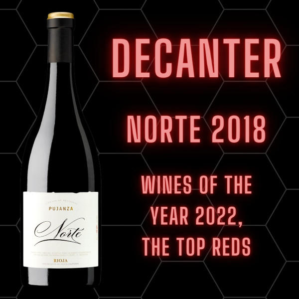 Bodegas y Vinedos Pujanza, Pujanza Rioja Norte 2018, Rioja, Spanien, Rotwein